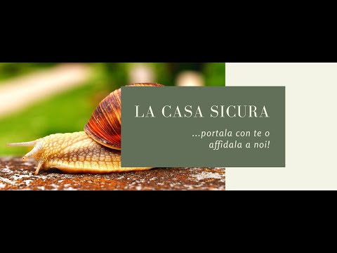 Anteprima del video Chi siamo